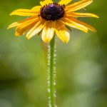 喜乐娱乐:打造快乐生活的多元化选择平台 762557s