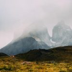 嘉盈娱乐的热门游戏推荐与玩家心得分享 nioyouka0