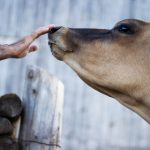 在线娱乐场的优惠活动,如何获取最大收益 qoyevm