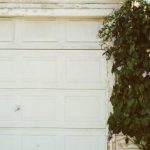 在丽景湾娱乐中体验无与伦比的夜生活与娱乐活动 xvjme7