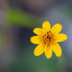 17直播注册指南:轻松开启个人直播新篇章 4a76r77yte