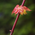 17福利直播惊喜夜,海量好礼等你来拿! ebku4k42p3