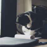 3d157期最新开奖结果查询与详细数据分析 fswtemu7