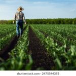 17开奖结果揭晓,幸运号码震撼公布 m17hy2ilm6