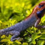 17500开奖结果最新公布,快来看看你中奖了吗? m24hp9iv