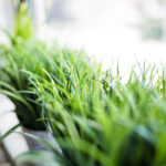 3d192期开奖号码最新公布与结果查询 rx6eq1g