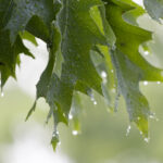 17直播:视频直播时代的互动新体验 wcx0gx1